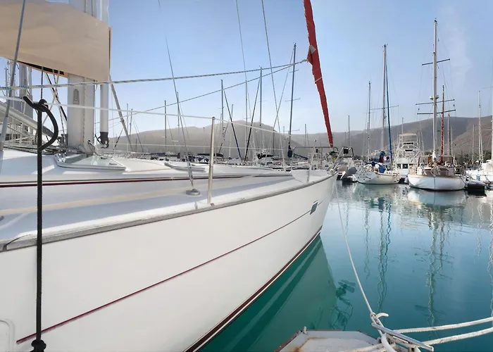 Pato Lucas Sail Boat