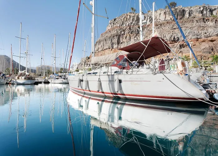 Pato Lucas Sail Boat